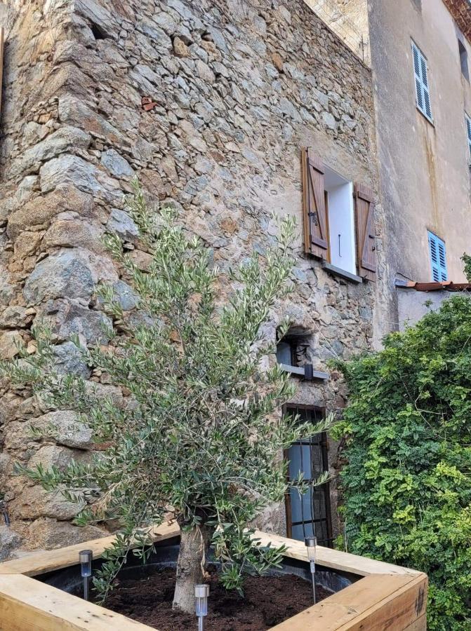 The Cosy Home Corbara By 1722 المظهر الخارجي الصورة